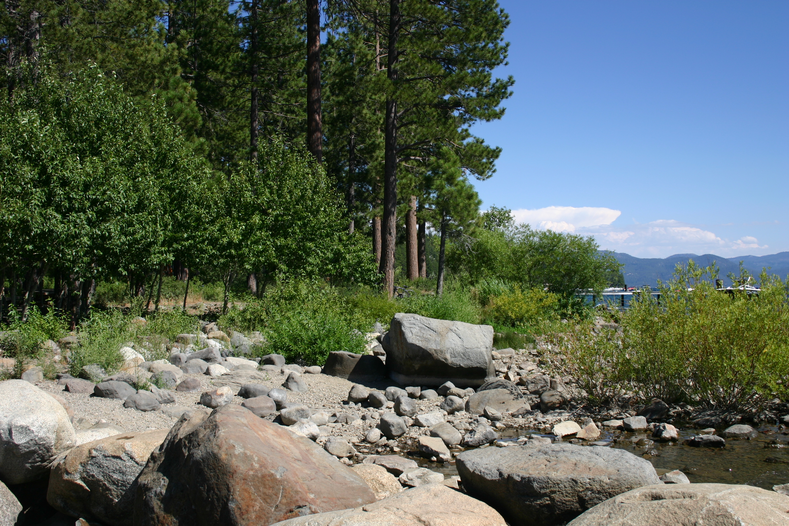 Kings Beach Picnic Area Image 1