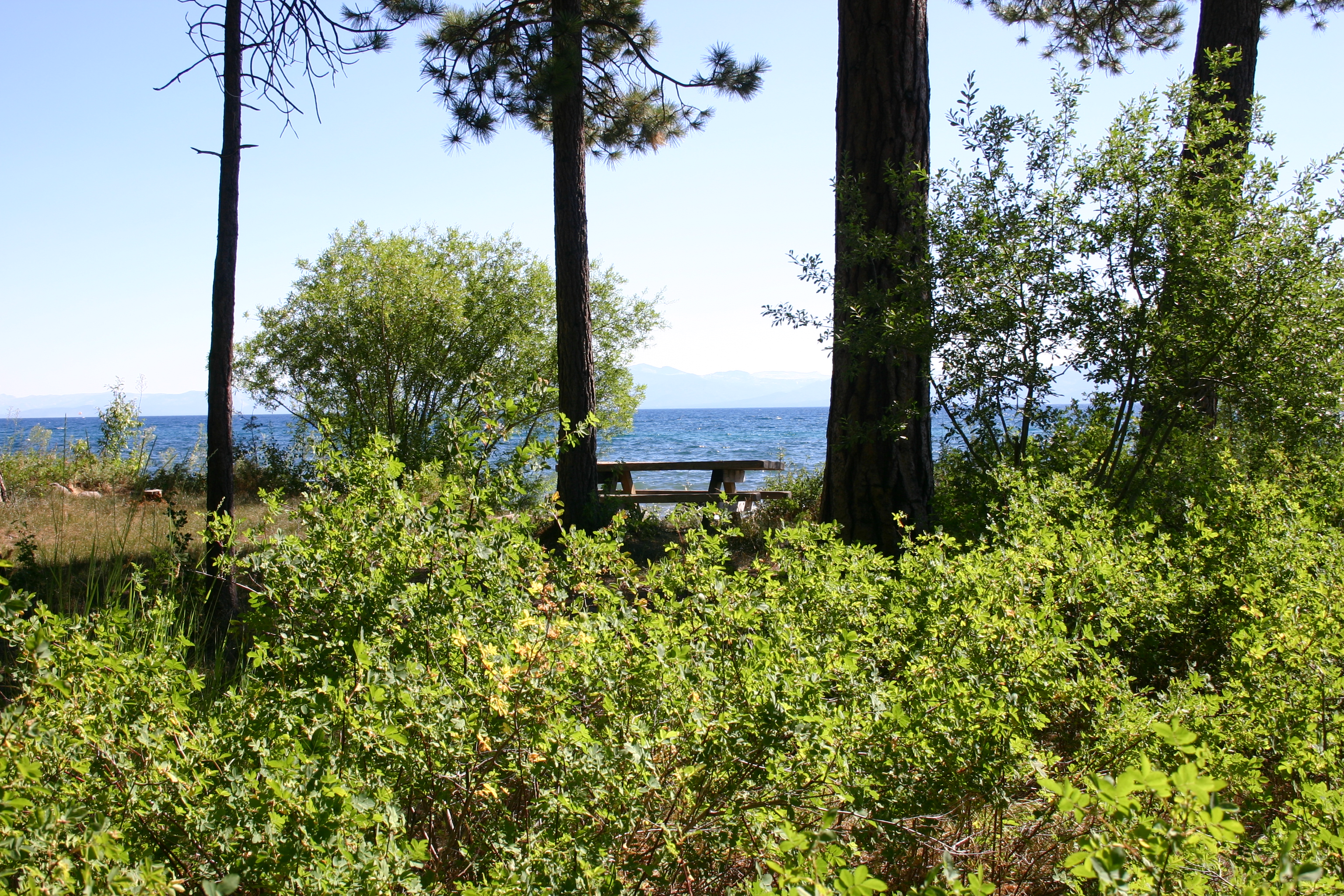 Kings Beach Picnic Area Image 3